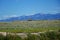 Corral and Mountains near Dillion, MT