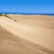 Corralejo dunes Fuerteventura island desert