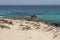 Corralejo dunes with sea views, Fuerteventura