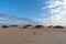 Corralejo Natural Park, Fuerteventura, Canary