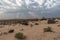 Corralejo Natural Park, Fuerteventura, Canary