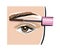 Correction of the form and coloring of eyebrows in beauty salon