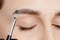 Correction and tint of eyebrows, master applies brush to woman marking on brow