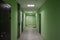 Corridor in a residential building. Wide-angle view of a modern corridor with doors against a green wall. modern lobby of the
