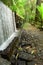 Corridor with water wall in the national park