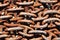 Corroded chain pattern
