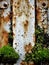 Corrosion of the metal can be even beautiful the destruction of an old trailer