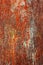 Corrosion painted metal background