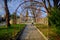 Corrosive and orange vine trellis in open park in Kardzali Bulgaria during early in the morning with sunshine.