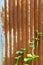 Corrugated rusty metal wall