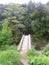 Corsican green landscape old bridge