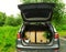 Cortea boxes and flowers in the open trunk of the car. The car is outdoors. There is green grass and trees in the background. The