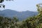 Cortegana town and castle among chestnut trees, cork oaks and holm oaks high in the Aracena mountain range, Huelva. Spain