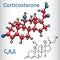Corticosterone steroid hormone - structural chemical formula a