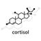 Cortisol chemical formula