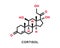 Cortisol chemical formula. Cortisol chemical molecular structure. Vector illustration