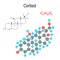 Cortisol. Chemical structural formula and model of hormone molecule. C21H30O5