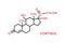 Cortisol hormone molecular formula. Human body hormones symbol