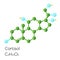 Cortisol hormone structural chemical formula isolated on white background.