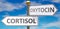 Cortisol and oxytocin as different choices in life - pictured as words Cortisol, oxytocin on road signs pointing at opposite ways