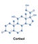 Cortisol is a steroid hormone