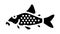 cory catfish glyph icon animation