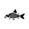 cory catfish glyph icon vector illustration