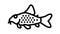 cory catfish line icon animation