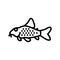 cory catfish line icon vector illustration