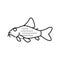 cory catfish line icon vector illustration