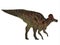 Corythosaurus Dinosaur Tail
