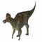 Corythosaurus Hadrosaur Dinosaur