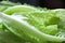 Cos lettuce fresh leave and good healthy after clean by water  in the basket background