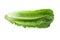 Cos Lettuce Isolated over the White Background