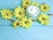 Cosmetic cream product wellness yellow flowers protection spa camomile capsules on a blue wooden background