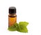 Cosmetic essential oil of lemon balm