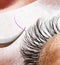 Cosmetic increase eyelash color