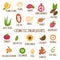 Cosmetic ingredients. Hand-drawn icons of herbs, fruits, vegetables, flowers, oils. Collection of vector icons