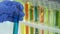 Cosmetic laboratory worker taking test tube with blue liquid, checking quality