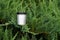 Cosmetic metal jar on fir tree bush natural light