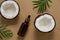 cosmetic oil bottle ,coconut and tropical leaf on a beige background