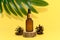 Cosmetic oil in a glass bottle stands on a wooden podium. Palm leaf on a yellow background.