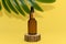 Cosmetic oil in a glass bottle stands on a wooden podium. Palm leaf on a yellow background.