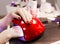 Cosmetics. Hands, nails manicure, red uv lamp