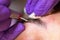 Cosmetologist applying permanent makeup on eyebrows