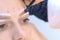 Cosmetologist is tinting woman eyebrows with paint in beauty clinic, closeup.