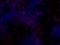 Cosmic black, blue and purple background with stars and nebulae