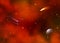 Cosmic red galaxy background. Nebula, milky way.