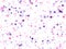 Cosmic sparkles stylish design.  Fireworks elements confetti.