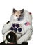The Cosmonaut dog dressed in a space suit